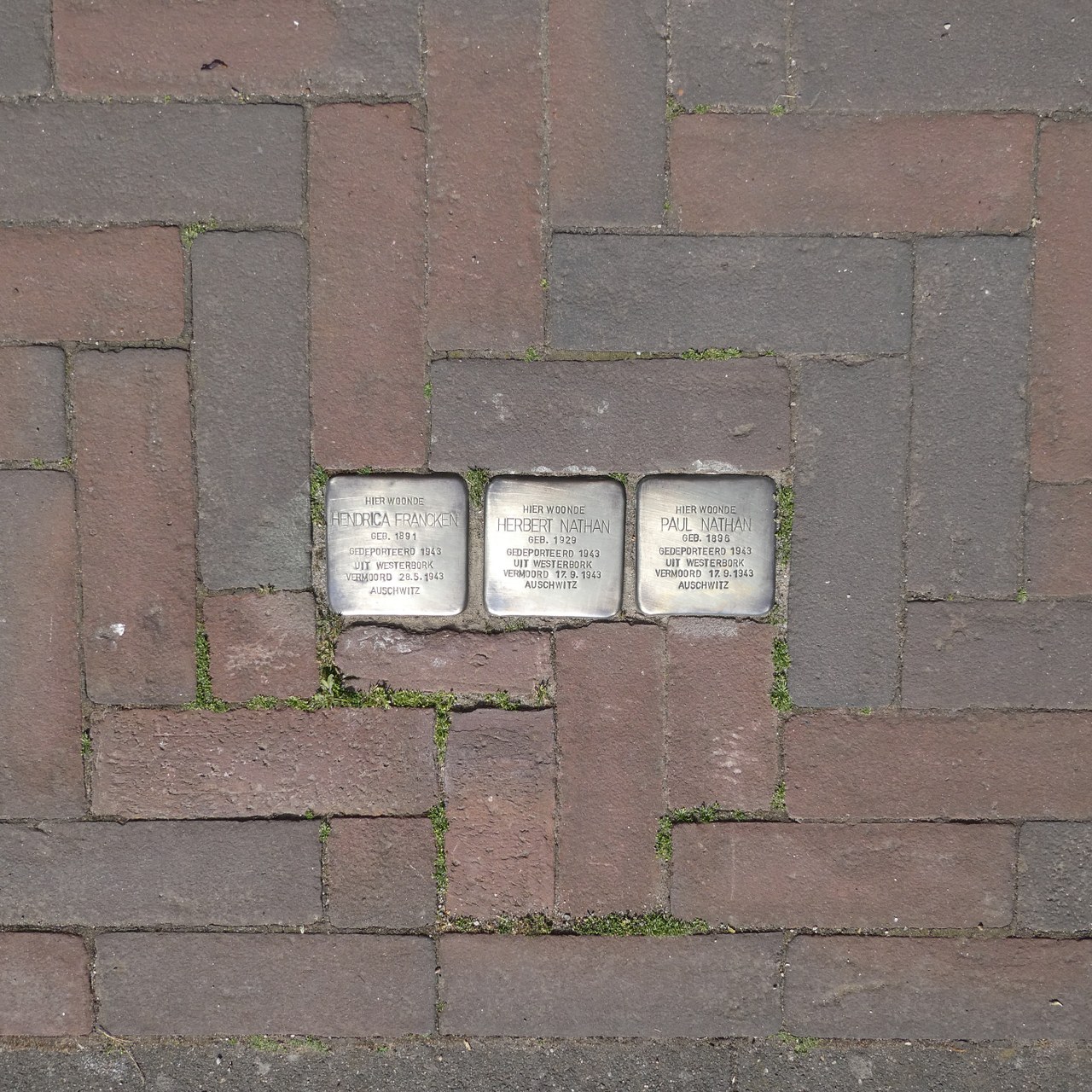 Godsweerdersingel_13.jpg