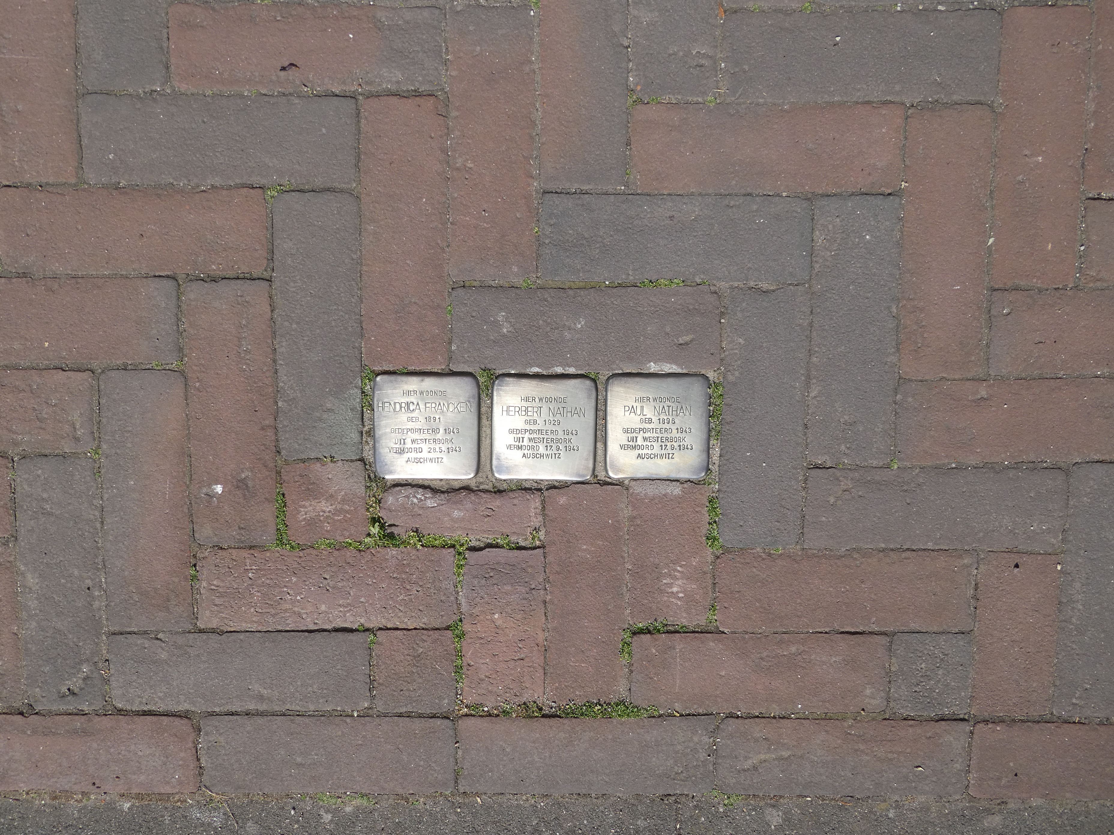 Godsweerdersingel_13.jpg