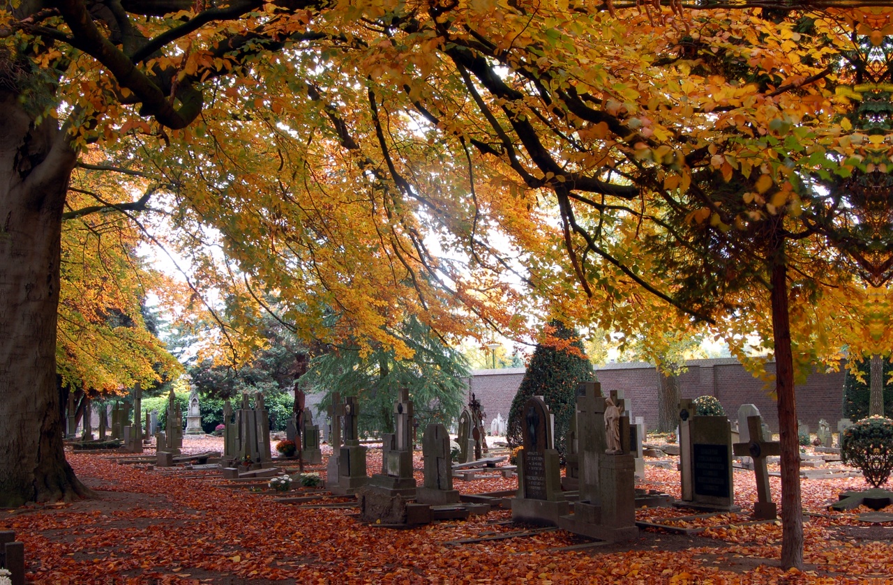 herfst-oude-kerkhof