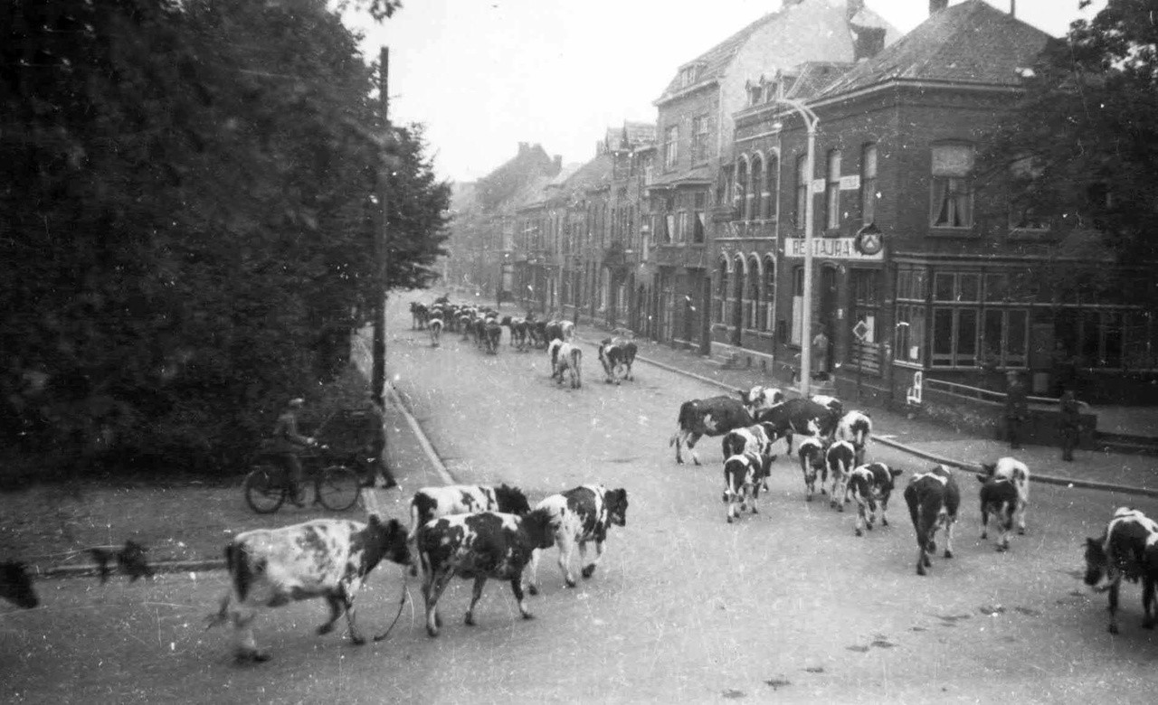 Art 06 Wegvoeren vee.jpg