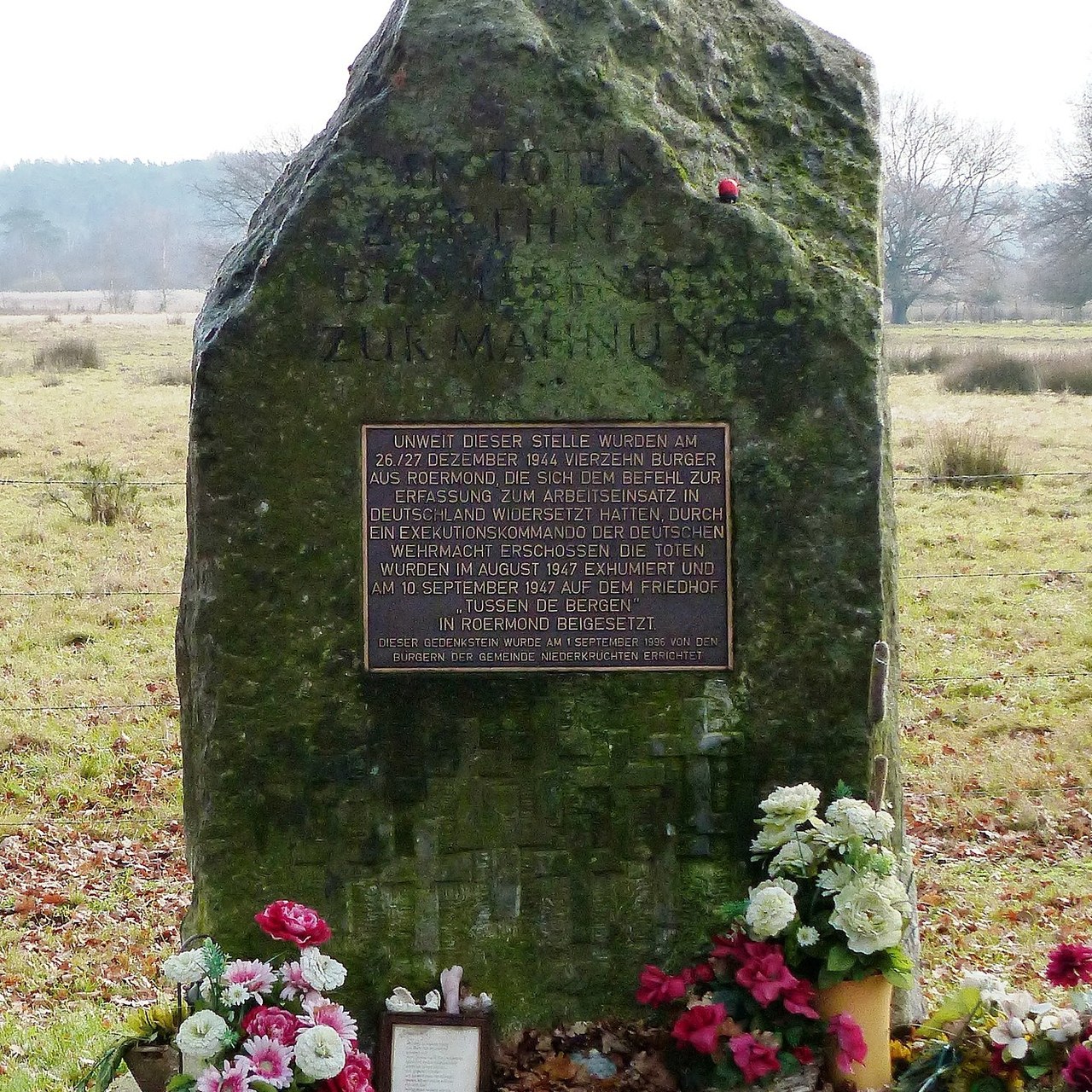 Matthaeas 7.JPG